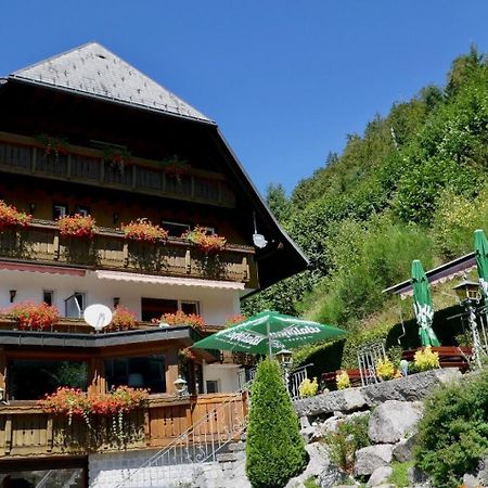 Hotel Silberfelsen Менценшванд Экстерьер фото