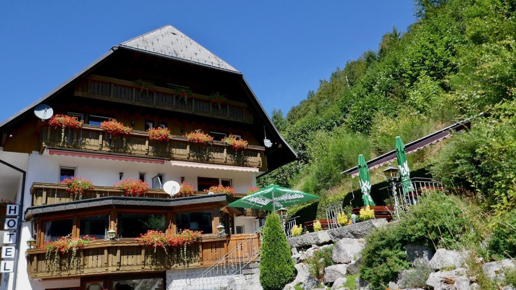 Hotel Silberfelsen Менценшванд Экстерьер фото